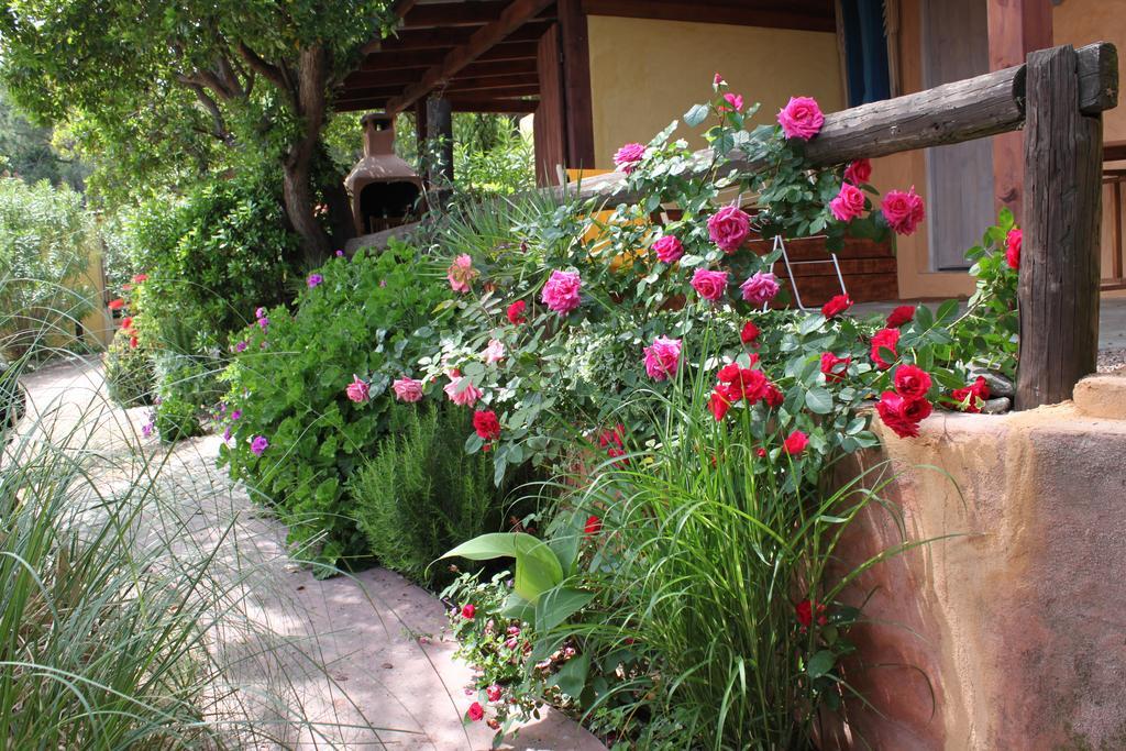 Les Bungalows De Figha Tarcu Kültér fotó