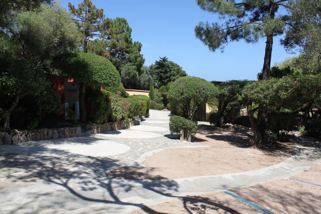 Les Bungalows De Figha Tarcu Kültér fotó